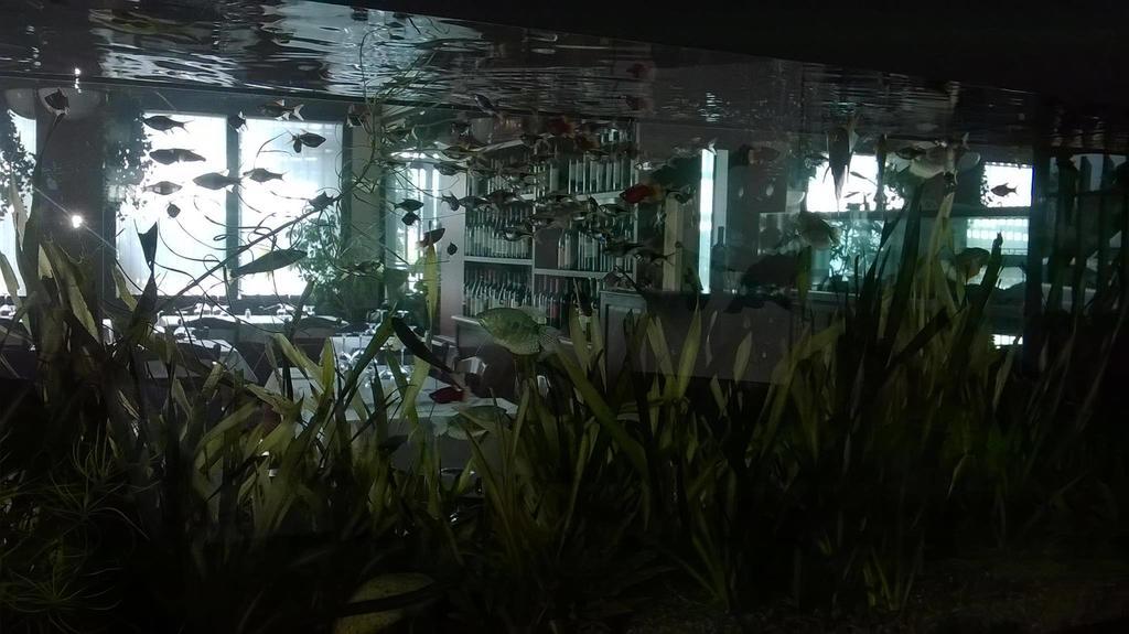 Locanda Ai Due Orsi Milano Rom bilde
